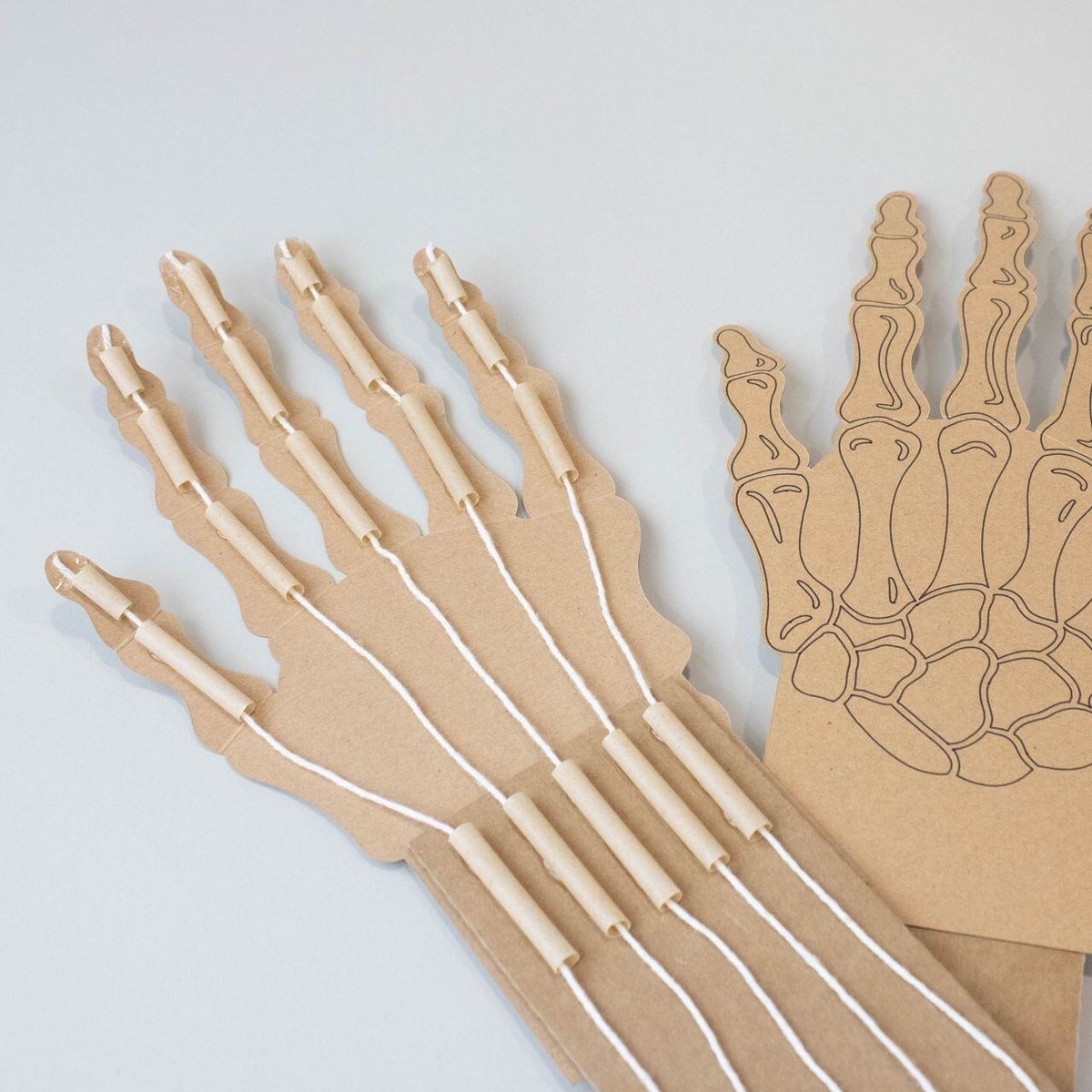 Articulated Hands 2-6084382246789743193