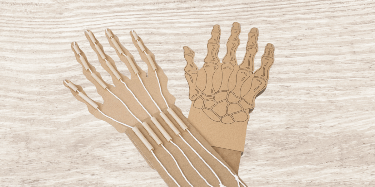 FEATURED 2-1 robotic hands